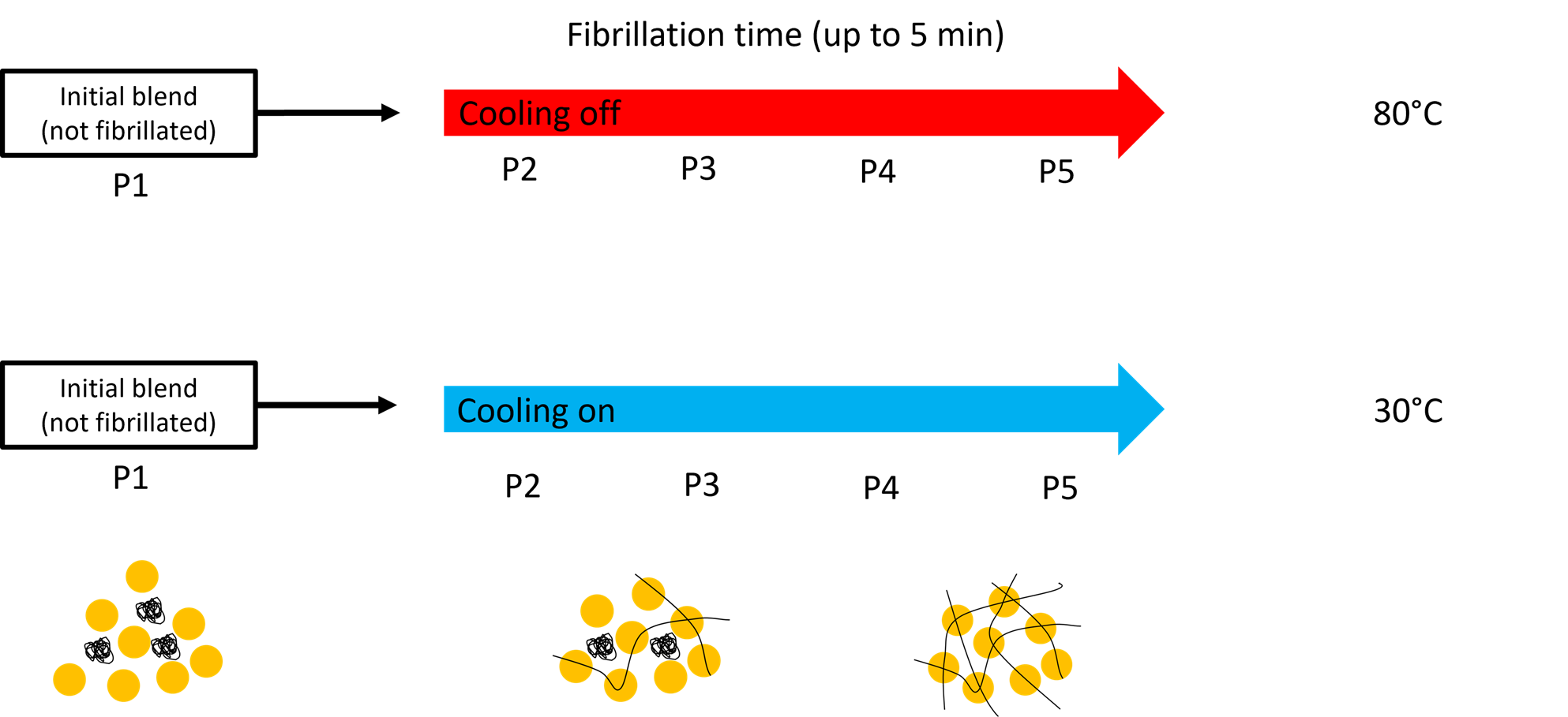 graph of the batches production at two different temperatures for different times of fibrillation